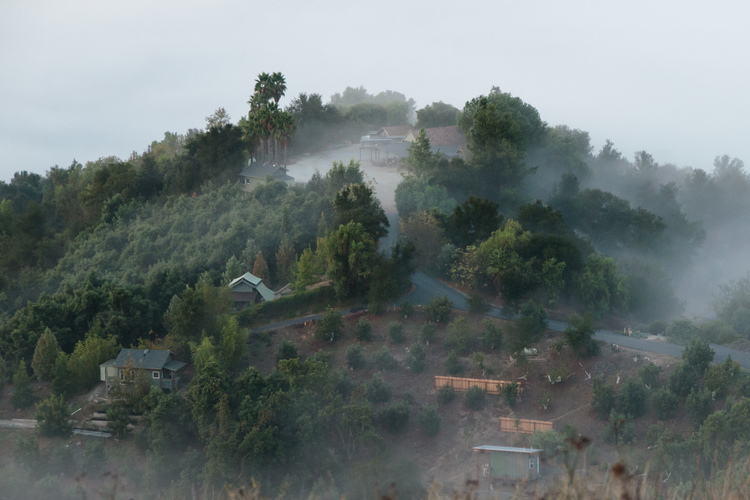 A photo of the monastery wrapped in morning fog
