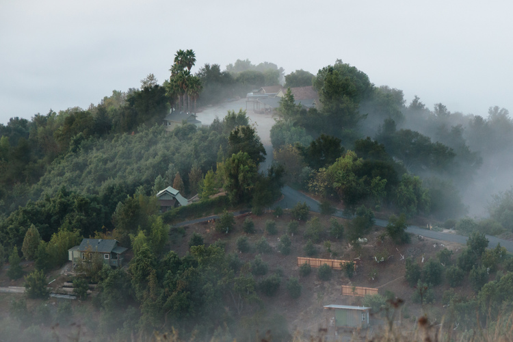 retreating fog