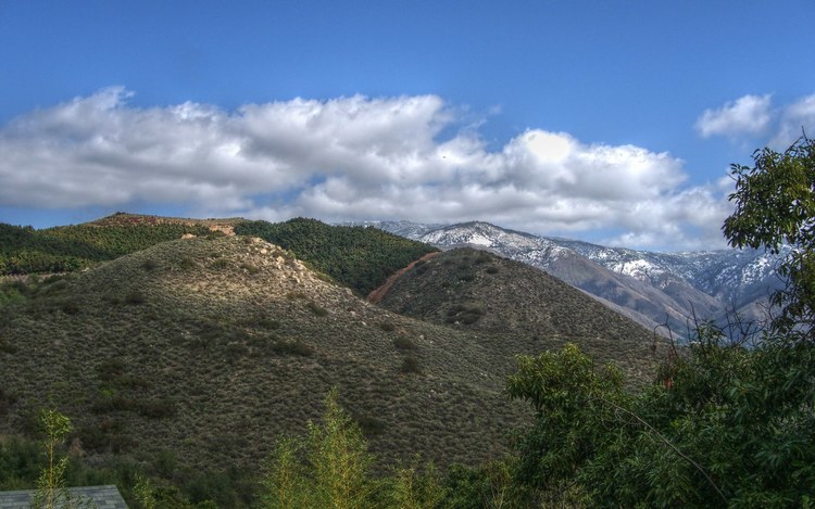 recent snow on Palomar