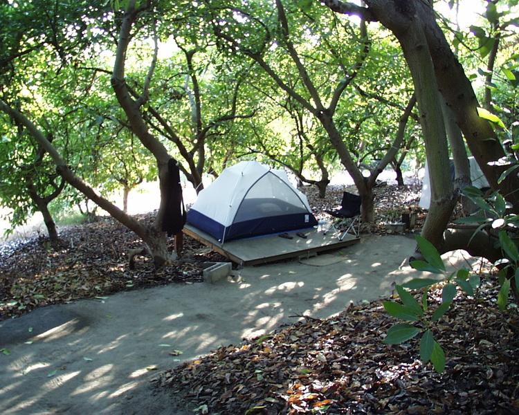 tent platform and walking path