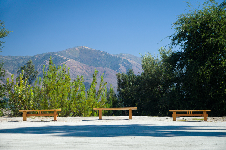 benches on a bright morning