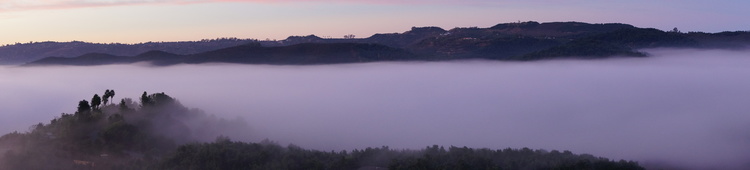 a sea of morning fog