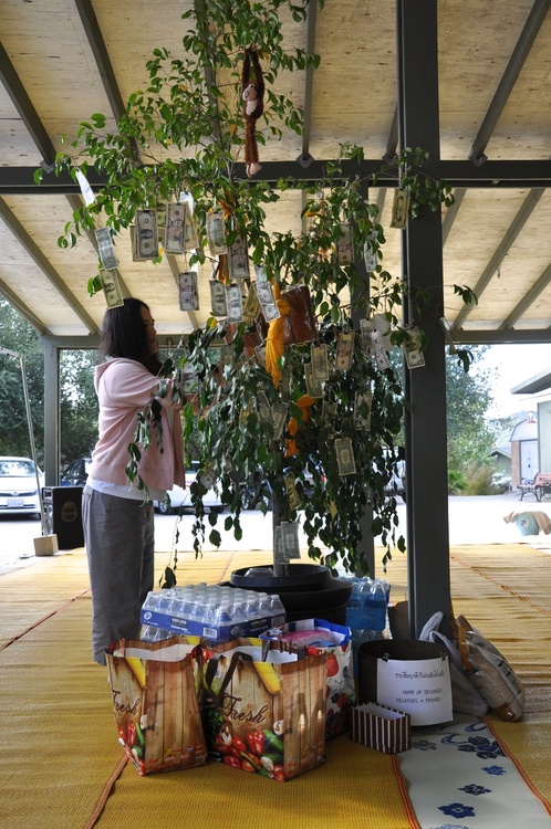 forest cloth offering